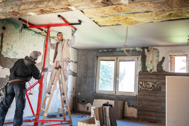 Best Best Insulation Companies  in Oli, PA